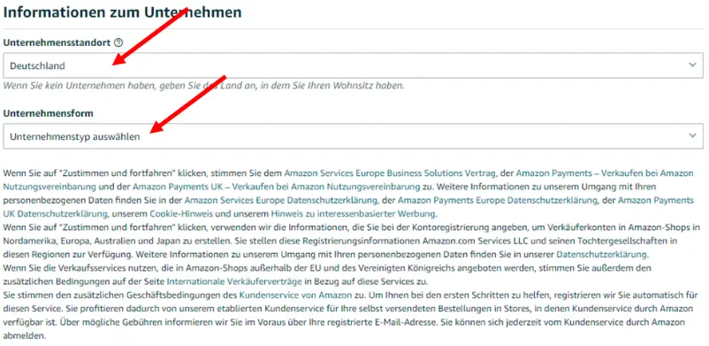 Select the company location and the legal form of the company in the input mask